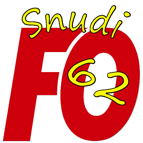 logo snudi réduit.png